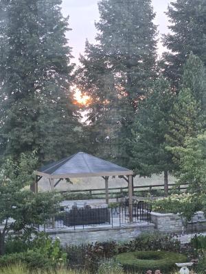Back Garden